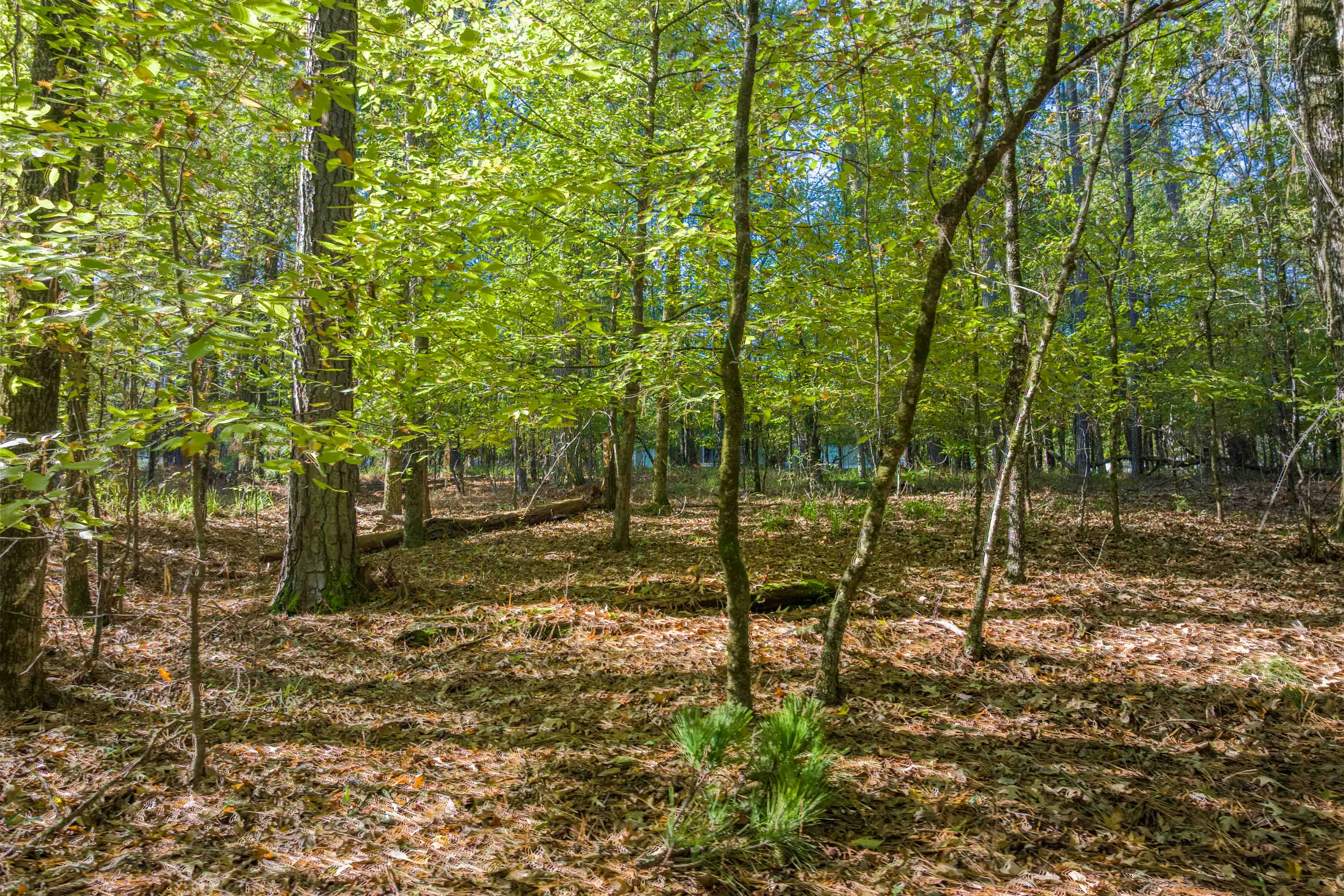 1030 Snug Harbor Court image 4